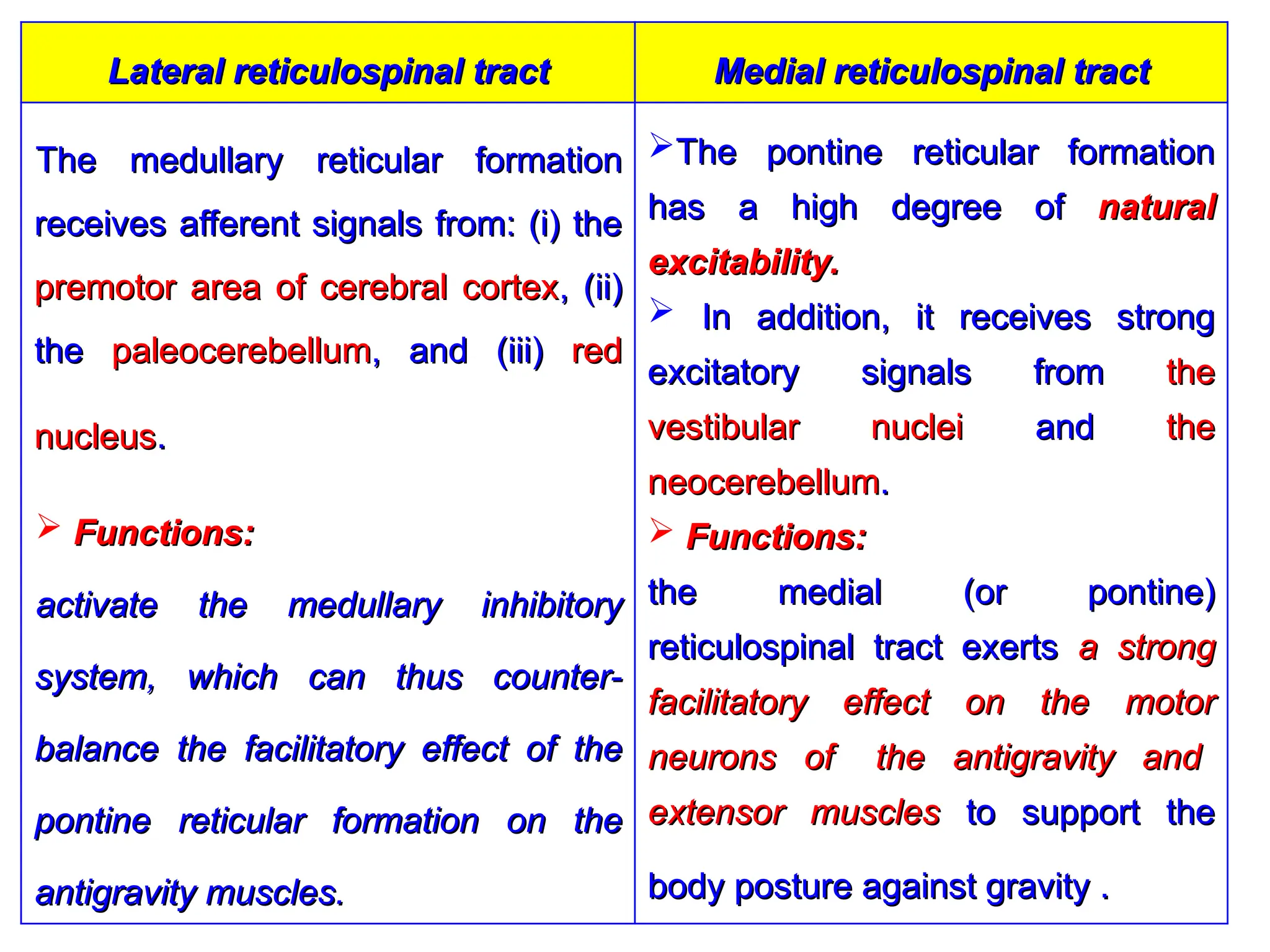 Medial reticulospinal tract
Medial reticulospinal tract
Lateral reticulospinal tract
Lateral reticulospinal tract
The pontine reticular formation
The pontine reticular formation
has a high degree of
has a high degree of natural
natural
excitability.
excitability.
 In addition, it receives strong
In addition, it receives strong
excitatory signals from
excitatory signals from the
the
vestibular nuclei
vestibular nuclei and
and the
the
neocerebellum
neocerebellum.
.
 Functions:
Functions:
the medial (or pontine)
the medial (or pontine)
reticulospinal tract exerts
reticulospinal tract exerts a strong
a strong
facilitatory effect on the motor
facilitatory effect on the motor
neurons of the antigravity and
neurons of the antigravity and
extensor muscles
extensor muscles to support the
to support the
body posture against gravity .
body posture against gravity .
The medullary reticular formation
The medullary reticular formation
receives afferent signals from: (i) the
receives afferent signals from: (i) the
premotor area of cerebral cortex
premotor area of cerebral cortex, (ii)
, (ii)
the
the paleocerebellum
paleocerebellum, and (iii)
, and (iii) red
red
nucleus
nucleus.
.
 Functions:
Functions:
activate the medullary inhibitory
activate the medullary inhibitory
system, which can thus counter-
system, which can thus counter-
balance the facilitatory effect of the
balance the facilitatory effect of the
pontine reticular formation on the
pontine reticular formation on the
antigravity muscles.
antigravity muscles.
 
