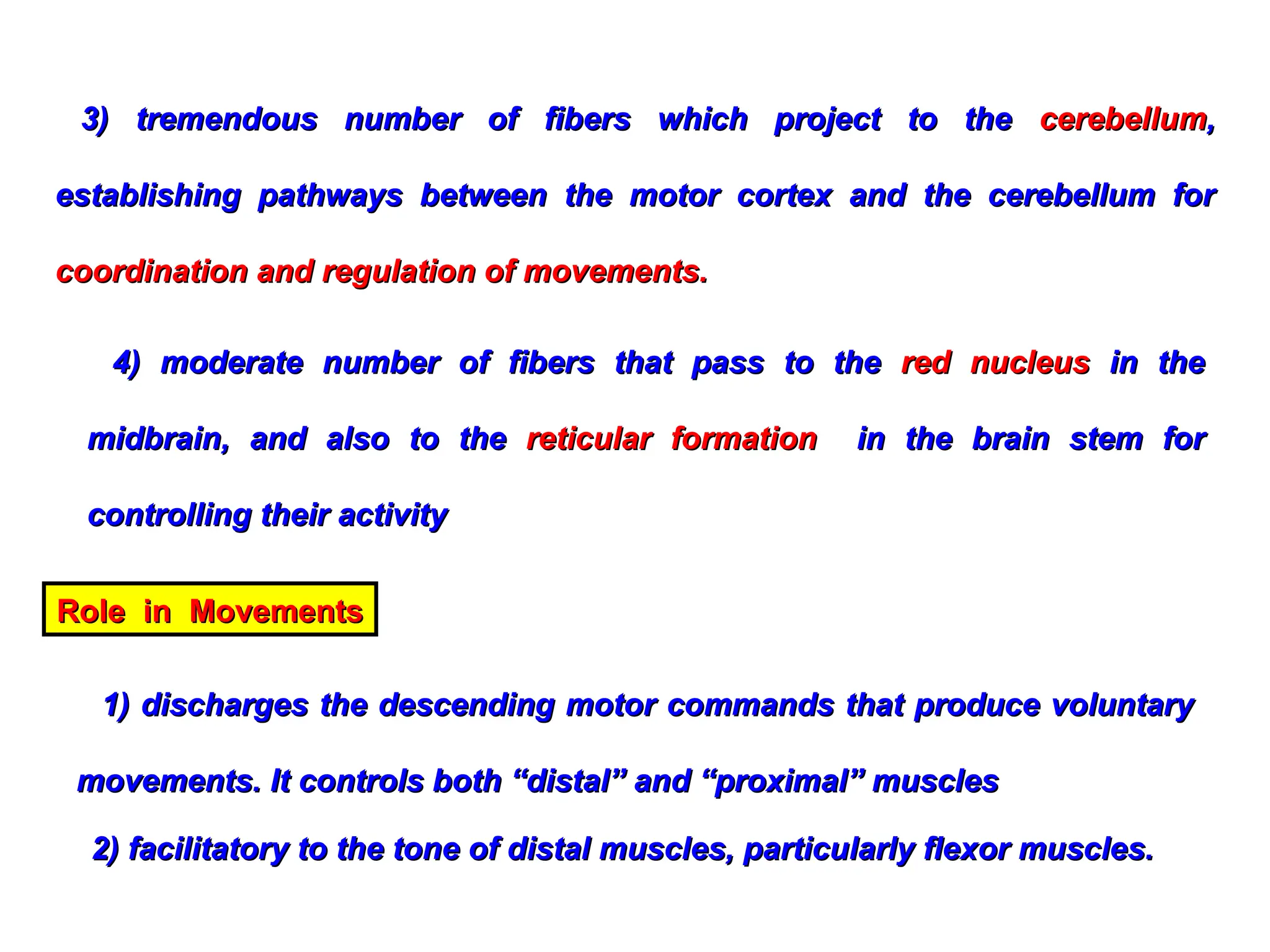 4) moderate number of fibers that pass to the
4) moderate number of fibers that pass to the red nucleus
red nucleus in the
in the
midbrain, and also to the
midbrain, and also to the reticular formation
reticular formation in the brain stem for
in the brain stem for
controlling their activity
controlling their activity
3) tremendous number of fibers which project to the
3) tremendous number of fibers which project to the cerebellum
cerebellum,
,
establishing pathways between the motor cortex and the cerebellum for
establishing pathways between the motor cortex and the cerebellum for
coordination and regulation of movements.
coordination and regulation of movements.
Role in Movements
Role in Movements
1) discharges the descending motor commands that produce voluntary
1) discharges the descending motor commands that produce voluntary
movements. It controls both “distal” and “proximal” muscles
movements. It controls both “distal” and “proximal” muscles
2) facilitatory to the tone of distal muscles, particularly flexor muscles.
2) facilitatory to the tone of distal muscles, particularly flexor muscles.
 