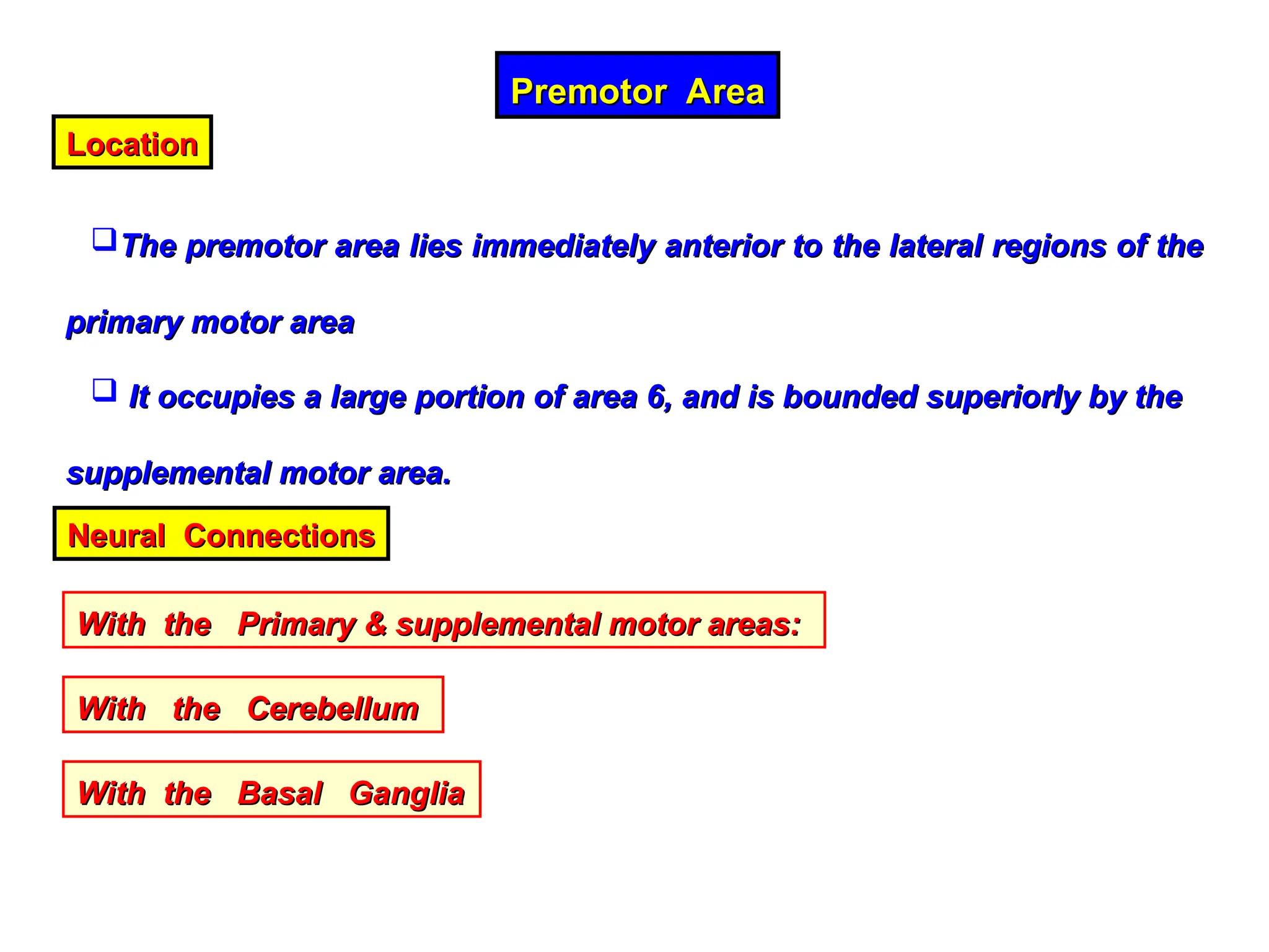Premotor Area
Premotor Area
Location
Location
The premotor area lies immediately anterior to the lateral regions of the
The premotor area lies immediately anterior to the lateral regions of the
primary motor area
primary motor area
 It occupies a large portion of area 6, and is bounded superiorly by the
It occupies a large portion of area 6, and is bounded superiorly by the
supplemental motor area.
supplemental motor area.
Neural Connections
Neural Connections
With the Primary & supplemental motor areas:
With the Primary & supplemental motor areas:
With the Cerebellum
With the Cerebellum
With the Basal Ganglia
With the Basal Ganglia
 