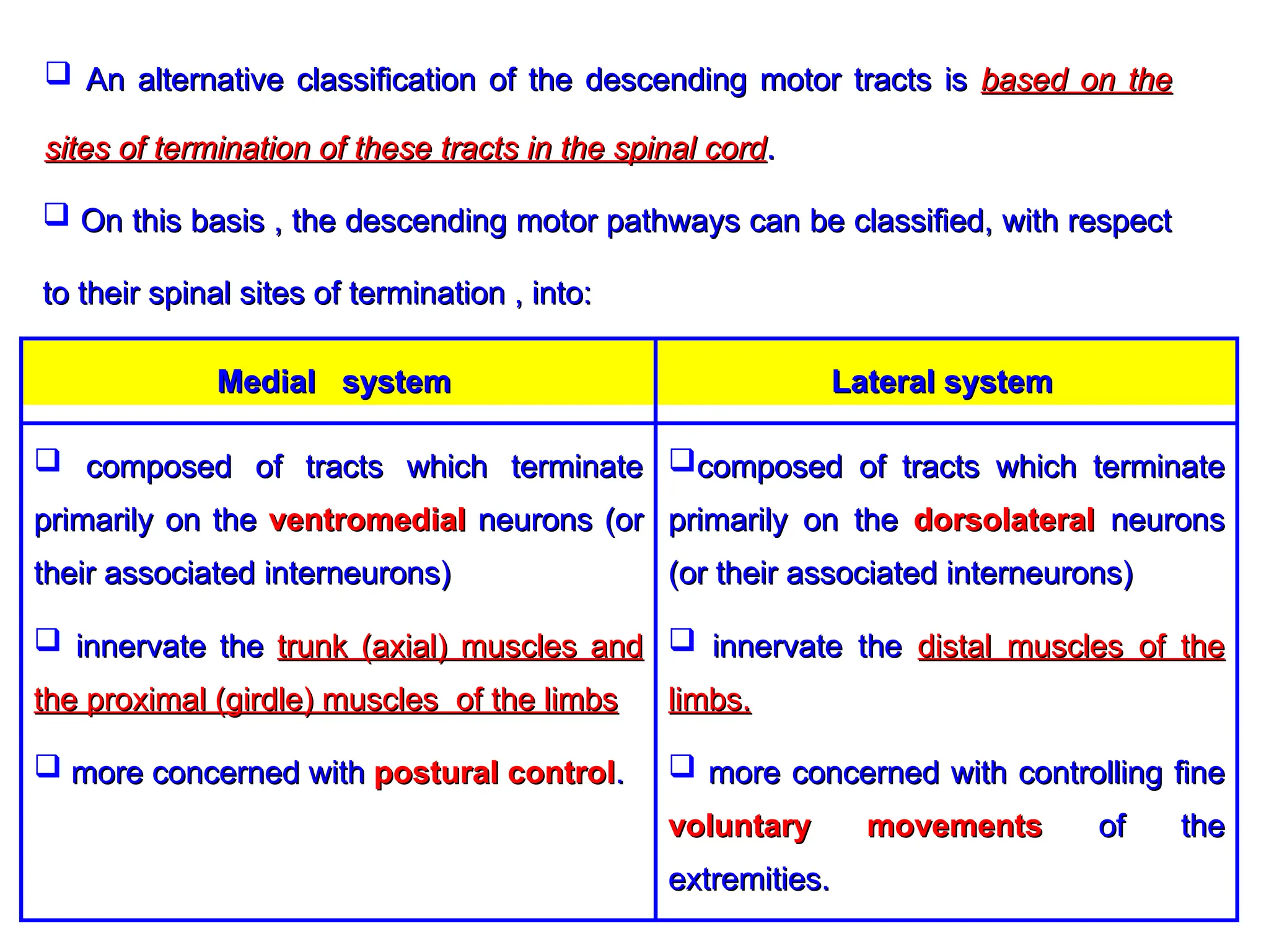  An alternative classification of the descending motor tracts is
An alternative classification of the descending motor tracts is based on the
based on the
sites of termination of these tracts in the spinal cord
sites of termination of these tracts in the spinal cord.
.
 On this basis , the descending motor pathways can be classified, with respect
On this basis , the descending motor pathways can be classified, with respect
to their spinal sites of termination , into:
to their spinal sites of termination , into:
composed of tracts which terminate
composed of tracts which terminate
primarily on the
primarily on the dorsolateral
dorsolateral neurons
neurons
(or their associated interneurons)
(or their associated interneurons)
 innervate the
innervate the distal muscles of the
distal muscles of the
limbs.
limbs.
 more concerned with controlling fine
more concerned with controlling fine
voluntary movements
voluntary movements of the
of the
extremities.
extremities.
 composed of tracts which terminate
composed of tracts which terminate
primarily on the
primarily on the ventromedial
ventromedial neurons (or
neurons (or
their associated interneurons)
their associated interneurons)
 innervate the
innervate the trunk (axial) muscles and
trunk (axial) muscles and
the proximal (girdle) muscles of the limbs
the proximal (girdle) muscles of the limbs
 more concerned with
more concerned with postural control
postural control.
.
Lateral system
Lateral system
Medial system
Medial system
 
