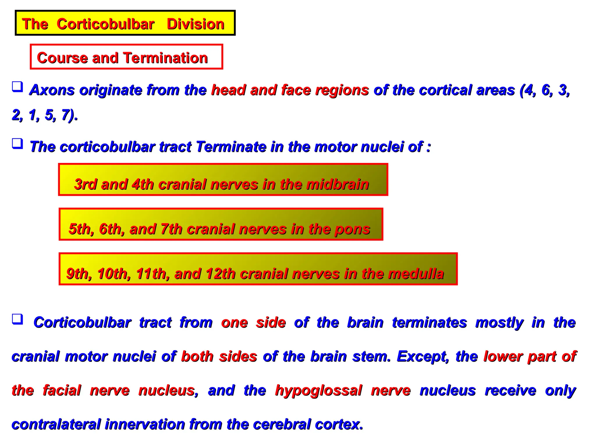 The Corticobulbar Division
The Corticobulbar Division
Course and Termination
Course and Termination
 Axons originate from the
Axons originate from the head and face regions
head and face regions of the cortical areas (4, 6, 3,
of the cortical areas (4, 6, 3,
2, 1, 5, 7).
2, 1, 5, 7).
 The corticobulbar tract Terminate in the motor nuclei of :
The corticobulbar tract Terminate in the motor nuclei of :
3rd and 4th cranial nerves in the midbrain
3rd and 4th cranial nerves in the midbrain
5th, 6th, and 7th cranial nerves in the pons
5th, 6th, and 7th cranial nerves in the pons
9th, 10th, 11th, and 12th cranial nerves in the medulla
9th, 10th, 11th, and 12th cranial nerves in the medulla
 Corticobulbar tract from
Corticobulbar tract from one side
one side of the brain terminates mostly in the
of the brain terminates mostly in the
cranial motor nuclei of
cranial motor nuclei of both sides
both sides of the brain stem. Except, the
of the brain stem. Except, the lower part of
lower part of
the facial nerve nucleus
the facial nerve nucleus, and the
, and the hypoglossal nerve
hypoglossal nerve nucleus receive only
nucleus receive only
contralateral innervation from the cerebral cortex.
contralateral innervation from the cerebral cortex.
 