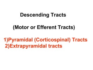 Descending Tracts
(Motor or Efferent Tracts)
1)Pyramidal (Corticospinal) Tracts
2)Extrapyramidal tracts
 