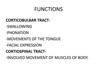 Pyramidal tracts | PPTX