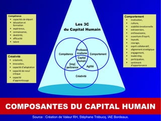 COMPOSANTES DU CAPITAL HUMAIN
Source : Création de Valeur RH, Stéphane Trébucq, IAE Bordeaux.
Capital
Humain
Créativité
ComportementCompétence
Agilité
[imp]
pertinence
Professio
nnalisme
Les 3C
du Capital Humain
 