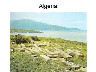 Algeria 