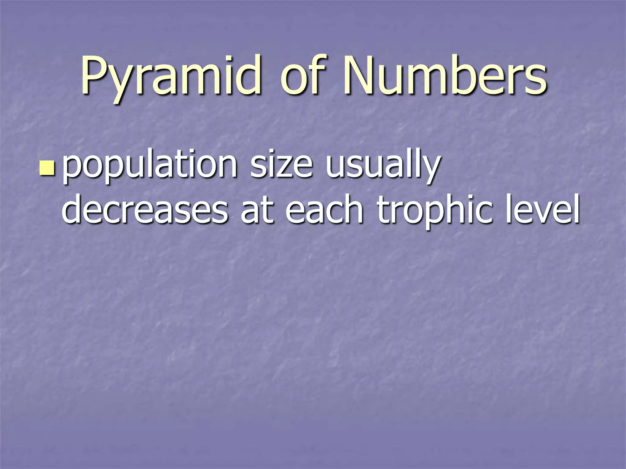 Pyramids Energy_ biomass_ numbers (2).ppt