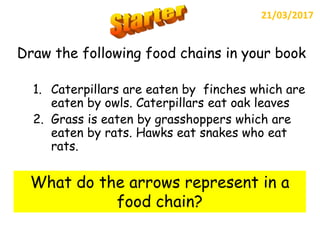 Draw the following food chains in your book
1. Caterpillars are eaten by finches which are
eaten by owls. Caterpillars eat oak leaves
2. Grass is eaten by grasshoppers which are
eaten by rats. Hawks eat snakes who eat
rats.
21/03/2017
What do the arrows represent in a
food chain?
 