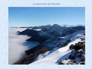 A la découverte des Pyrénées. 