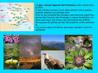 Le  parc naturel régional des Pyrénées  a été  institué dans le 2004. À son intérieur sinueux cours d'eau glissent parmi grands massifs adaptes à la grimpée libre. Pour ce qui concerne les animaux nous trouvons (parmi les autres) les Chamois des Pyrénées à risque d'extinction, les chats sauvages, les loutres, les hermines et les griffons. 49 espèces de plantes sur les 250 présents vivent seulment là. Les promenades à l'intérieur de le parc résultent vraiment agréables 