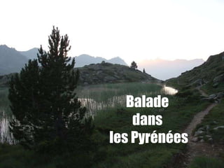 Balade  dans  les Pyrénées 