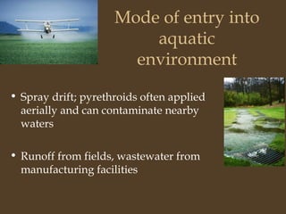 Pyrethroids | PPT