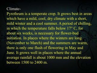 Climate-
Pyrethrum is a temperate crop. It grows best in areas
which have a mild, cool, dry climate with a short,
mild winter and a cool summer. A period of chilling,
in which the temperature falls below 17° C, for
about six weeks, is necessary for flower-bud
initiation. In places where the winters are long
(November to March) and the summers are warm,
there is only one flush of flowering in May and
June. It grows well in places where the annual
average rainfall is about 1000 mm and the elevation
between 1500 to 2400 m.
 