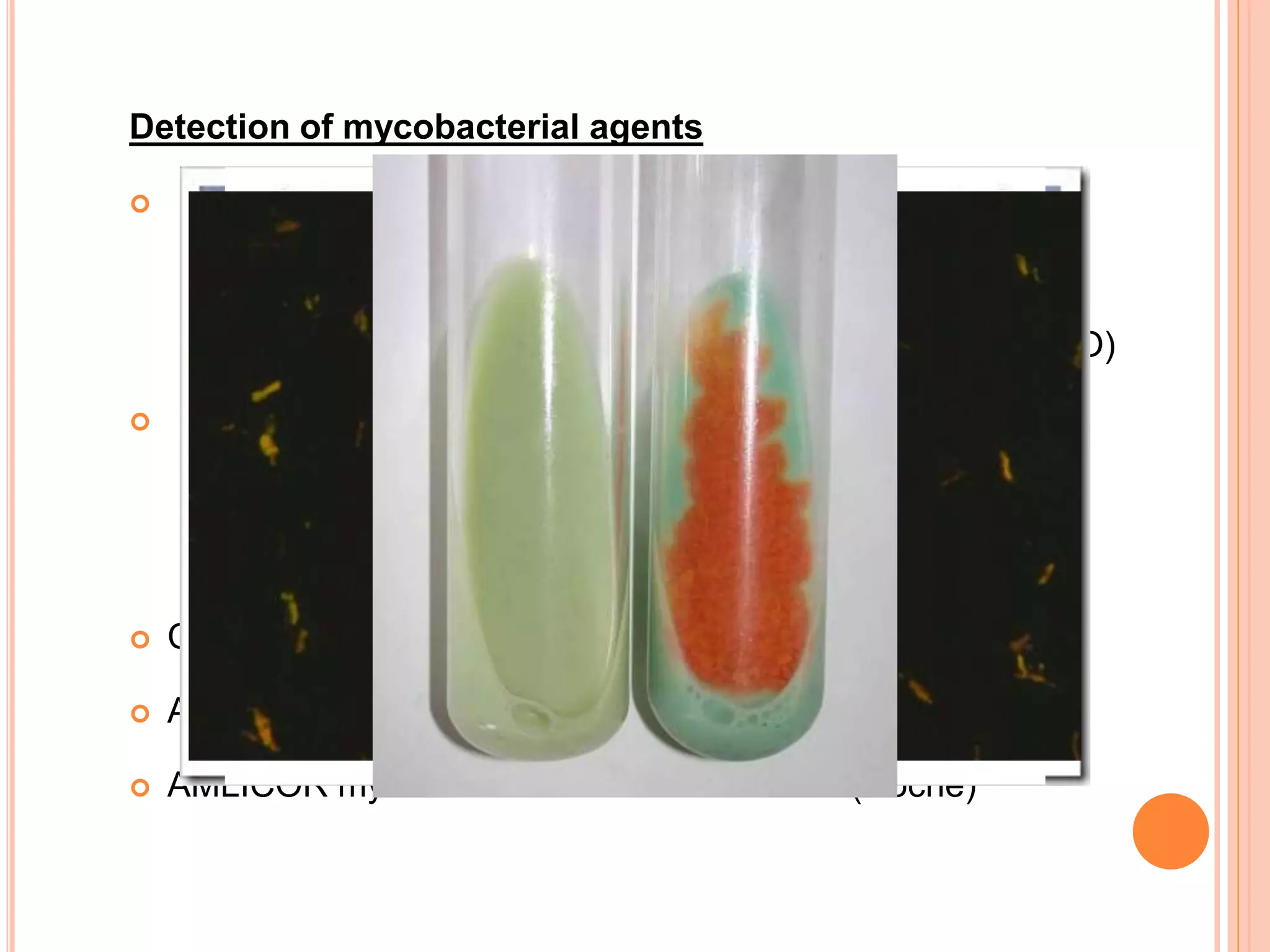 Detection of mycobacterial agents
 Stains
 Carbol fuschin (classic ZN stain, cold Kinyoun stain)
 Fluorochrome stain ( auramine-rhodamine & auramine O)
 Culture
 Broth culture: BACTEC 460TB,SEPTI-CHEK AFB
 Solid medium-: LJ;Middlebrook 7H10,7H11
 Currently most rapid method: nucleic acid amplification test
 Amplified mycobacteriym TB direct test (Gen Probe)
 AMLICOR mycobacterium tuberculosis test (Roche)
 