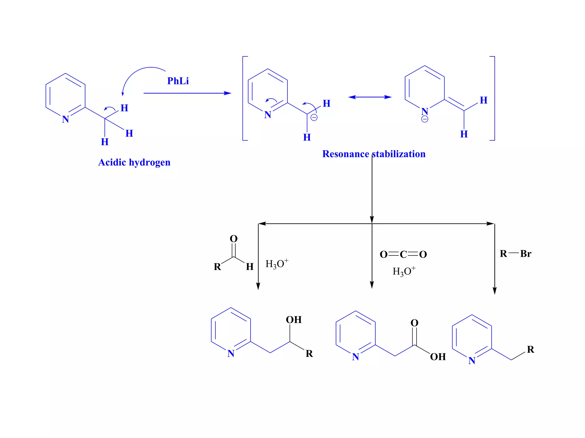 N
H
H
H
Acidic hydrogen
PhLi
N
H
H
N
H
H
R
O
H
OCO R Br
N
OH
R N
O
OH N
R
H3O+
H3O+
Resonance stabilization
 