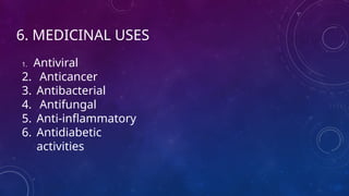 6. MEDICINAL USES
1. Antiviral
2. Anticancer
3. Antibacterial
4. Antifungal
5. Anti-inflammatory
6. Antidiabetic
activities
 