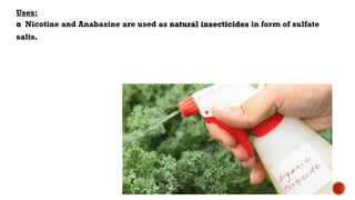 Uses:
◘ Nicotine and Anabasine are used as natural insecticides in form of sulfate
salts.
 