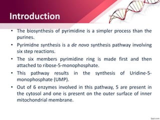 Introduction
• The biosynthesis of pyrimidine is a simpler process than the
purines.
• Pyrimidne synthesis is a de novo synthesis pathway involving
six step reactions.
• The six members pyrimidine ring is made first and then
attached to ribose-5-monophosphate.
• This pathway results in the synthesis of Uridine-5-
monophosphate (UMP).
• Out of 6 enzymes involved in this pathway, 5 are present in
the cytosol and one is present on the outer surface of inner
mitochondrial membrane.
 