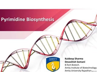 Pyrimidine Biosynthesis
Kuldeep Sharma
Devashish Somani
B.Tech Biotech.
Amity Institute of Biotechnology
Amity University Rajasthan
 