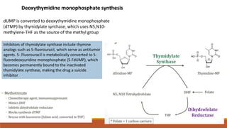 Deoxythymidine monophosphate synthesis
dUMP is converted to deoxythymidine monophosphate
(dTMP) by thymidylate synthase, which uses N5,N10-
methylene-THF as the source of the methyl group
Inhibitors of thymidylate synthase include thymine
analogs such as 5-fluorouracil, which serve as antitumor
agents. 5- Fluorouracil is metabolically converted to 5-
fluorodeoxyuridine monophosphate (5-FdUMP), which
becomes permanently bound to the inactivated
thymidylate synthase, making the drug a suicide
inhibitor
 