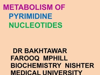 METABOLISM OF
PYRIMIDINE
NUCLEOTIDES
DR BAKHTAWAR
FAROOQ MPHILL
BIOCHEMISTRY NISHTER
 