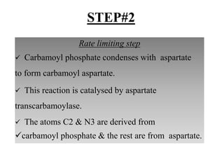 Rate limiting step
 Carbamoyl phosphate condenses with aspartate
to form carbamoyl aspartate.
 This reaction is catalysed by aspartate
transcarbamoylase.
 The atoms C2 & N3 are derived from
carbamoyl phosphate & the rest are from aspartate.
STEP#2
 