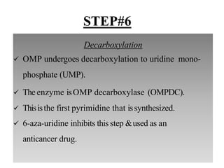 Decarboxylation
 OMP undergoes decarboxylation to uridine mono-
phosphate (UMP).
 The enzyme isOMP decarboxylase (OMPDC).
 Thisisthe first pyrimidine that issynthesized.
 6-aza-uridine inhibits this step &used as an
anticancer drug.
STEP#6
 