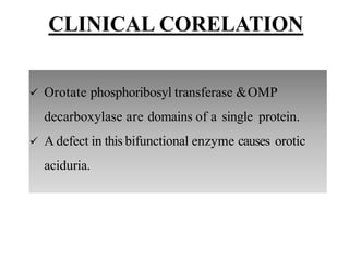  Orotate phosphoribosyl transferase &OMP
decarboxylase are domains of a single protein.
 A defect in this bifunctional enzyme causes orotic
aciduria.
CLINICAL CORELATION
 