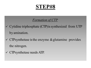 STEP#8
Formation of CTP
 Cytidine triphosphate (CTP)issynthesized from UTP
byamination.
 CTPsynthetase isthe enzyme &glutamine provides
the nitrogen.
 CTPsynthetase needsATP.
 