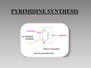 PYRIMIDINE SYNTHESIS
 