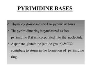  Thymine,cytosineanduracilarepyrimidinebases.
 Thepyrimidine ring issynthesized as free
pyrimidine &it isincorporated into the nucleotide.
 Aspartate, glutamine (amide group) &CO2
contribute to atoms in the formation of pyrimidine
ring.
PYRIMIDINE BASES
 