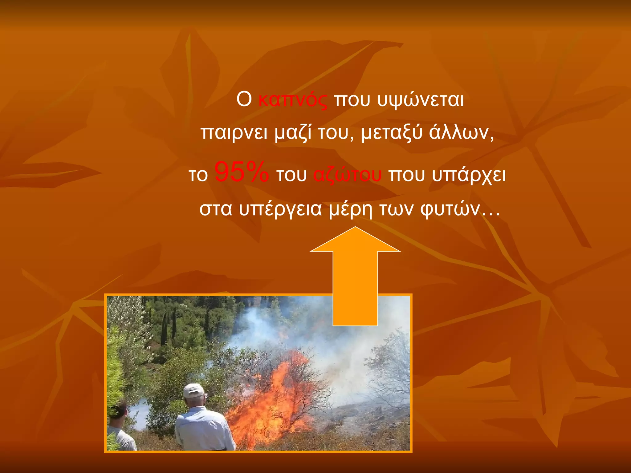 Ο  καπνός  που υψώνεται  παιρνει μαζί του, μεταξύ άλλων,  το  95%  του  αζώτου  που υπάρχει  στα υπέργεια μέρη των φυτών… 