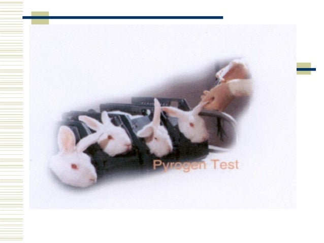 Rabbit Pyrogen Test Rabbit Pyrogen Test