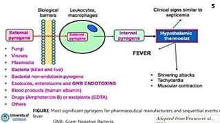 Pyrogen Interface Pyrogrn Testing & MLT in pharmaceutical products.pptx