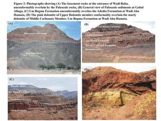 Figure 2: Photographs showing (A) The basement rocks at the entrance of Wadi Baba,
unconformably overlain by the Paleozoic rocks, (B) General view of Paleozoic sediments at Gabal
Alluga, (C) Um Bogma Formation unconformably overlies the Adedia Formation at Wadi Abu
Hamata, (D) The pink dolomite of Upper Dolomite member conformably overlain the marly
dolomite of Middle Carbonate Member, Um Bogma Formation at Wadi Abu Hamata.
 