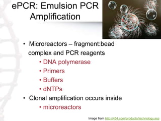 ePCR: Emulsion PCR
Amplification
• Microreactors – fragment:bead
complex and PCR reagents
• DNA polymerase
• Primers
• Buffers
• dNTPs
• Clonal amplification occurs inside
• microreactors
Image from http://454.com/products/technology.asp
 