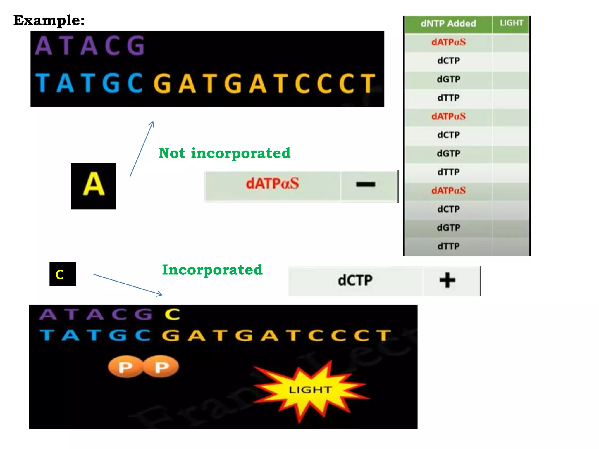 Example:
Not incorporated
C Incorporated