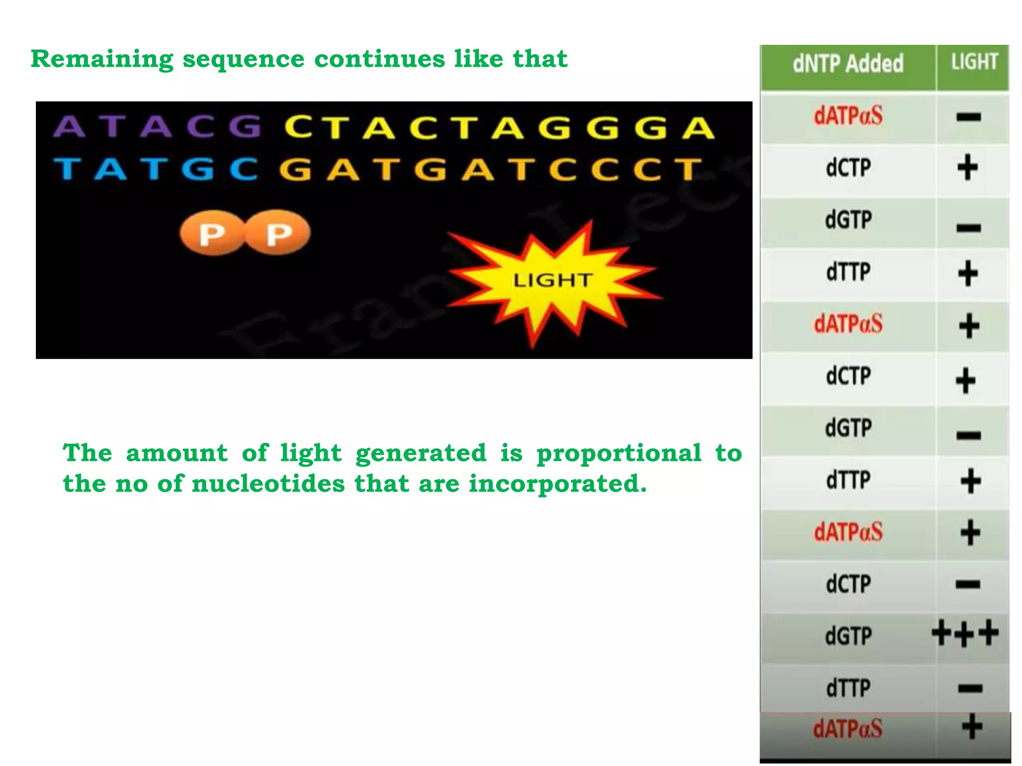 Remaining sequence continues like that
The amount of light generated is proportional to
the no of nucleotides that are incorporated.