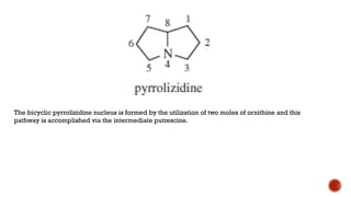 Pyrrolizidine alkaloids (2018)