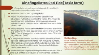 Dinoflagellates Red Tide(Toxic form)
 Dinoflagellates sometimes multiply rapidly, resulting in
population explosions or blooms.
 Red tides are caused by Gonyaulax .
 Rapid multiplication is due to the presence of
abundant nutrient present in the water. This might be
due to human activities or other natural reasons.
Human input of phosphate accelerates the formation
of red tides.
 These blooms release neurotoxin which kills the fishes.
The colour of the sea appears red so it is known as “Red
Tide”. This phenomenon is also referred to as “Harmful
algal bloom (HAB)”
 It may cause fatal or non-fatal illness in various other
species eating contaminated fish including humans.
After eating contaminated fishes, birds may die. Red
tide has been found to cause the death of dolphins
and manatees too.
 Alexendrium fundyense is responsible for the red tide in
the Gulf of Maine, produces a toxin named saxitoxin..
Florida red tide.
A case study of a man who developed
hypersensitivity pneumonitis after exposure
to a Florida red tide. The man experienced a
four-week history of dyspnea. He was treated
with steroids, which resolved his symptoms.
 