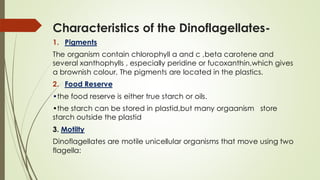 Characteristics of the Dinoflagellates-
1. Pigments
The organism contain chlorophyll a and c ,beta carotene and
several xanthophylls , especially peridine or fucoxanthin,which gives
a brownish colour. The pigments are located in the plastics.
2. Food Reserve
•the food reserve is either true starch or oils.
•the starch can be stored in plastid,but many orgaanism store
starch outside the plastid
3. Motilty
Dinoflagellates are motile unicellular organisms that move using two
flagella:
 