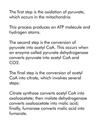 The first step is the oxidation of pyruvate,
which occurs in the mitochondria.
This process produces an ATP molecule and
hydrogen atoms.
The second step is the conversion of
pyruvate into acetyl CoA. This occurs when
an enzyme called pyruvate dehydrogenase
converts pyruvate into acetyl CoA and
CO2.
The final step is the conversion of acetyl
CoA into citrate, which involves several
steps:
Citrate synthase converts acetyl CoA into
oxaloacetate; then malate dehydrogenase
converts oxaloacetate into malic acid;
finally, fumarase converts malic acid into
fumarate.
 