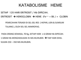 KATABOLISME HEME
SETIAP 120 HARI ERITROSIT / Hb DIPECAH.
ERITROSIT  HEMOGLOBIN  HEME (Fe+++ + BIL ) + GLOBIN

    PEMECAHAN TERJADI DI SEL-SEL RES ( HEPAR, LIEN & SUMSUM
    TULANG ), OLEH SEL-SEL MAKROFAG.


PADA ORANG DEWASA, 70 Kg, SETIAP HARI ± 6 GRAM Hb DIPECAH.
1 GRAM Hb MENGHASILKAN 35 MG BILIRUBIN  TIAP HARI DIHA-
SILKAN 250 – 350 MG BILIRUBIN.
 