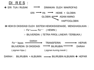 DI R E S :
 ERI TUA / RUSAK                             DIMAKAN OLEH MAKROFAG

                             ERI         Hb              HEME + GLOBIN
                                         GLOBIN              ASAM AMINO
                                                               HAPTOGLOBIN

 HEM DI OKSIDASI OLEH SISTEM HEMOKSIGENASE, MENGHASILKAN :
                        > Fe++       Fe++ +    ( HEMIN )
                        > BILIVERDIN ( TETRA PIROL LINEAR / TERBUKA )

                             DARAH
     Fe   +++
                lepas                          TRANSFERIN                    HEPAR
     BILIVERDIN DI OKSIDASI                         BILIRUBIN             DARAH
     ( pigmen hijau )                         ( pigmen kuning merah )


DARAH :    BILIRUBIN + ALBUMIN                       BILIRUBIN ALBUMIN  HEPAR
 