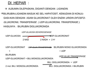 DI HEPAR :
   ALBUMIN DILEPASKAN, DIGANTI DENGAN LIGANDIN.

BILIRUBIN-LIGANDIN MASUK KE SEL HAPATOSIT, KEMUDIAN DI KONJU-
 GASI-KAN DENGAN ASAM GLUKORONAT OLEH ENZIM URIDIN DIFOSFO-
 GLUKORONIL TRANSFERASE ( UDP-GLUKORONIL TRANSFERASE ).
 HASILNYA : BILIRUBIN DIGLUKORONIDA

                 UDP-GLUKOSA DEHIDROGENASE

   UDP-GLUKOSA                            UDP-GLUKORONAT
                 2 NAD            2 NADH + 2 H+


   UDP-GLUKORONAT     UDP-GLUK.TRANSFERASE   BILIRUBIN MONO GLUKORONIDA
      +                                           + UDP
   BILIRUBIN
                                                  UDP-GLUK.TRANSFERASE
   UDP-GLUKORONAT + BILI.MONOGLUKORONIDA
                                        BILI. DIGLUKORONIDA + UDP
   2 mol. BILI. MONOGLUKORONIDA          BILI. DIGLUKORONIDA + BILIRUBIN
 
