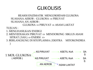 GLIKOLISIS
          REAKSI ENZIMATIK MENGOKSIDASI GLUKOSA
      SUASANA AEROB : GLUKOSA ⇒ PIRUVAT
      SUASANA AN AEROB :
              GLUKOSA ⇒ PIRUVAT ⇒ ASAM LAKTAT
TUJUAN :
1. MENGHASILKAN ENERGI
2. MENYEDIAKAN PIRUVAT ⇒ MENDORONG SIKLUS ASAM
    SITRAT ( SAS ) ⇒ ENERSI >>
3. BERLANGSUNG DI SITOPLASMA ( EKSTRA MITOKONDRIA
    )


                  AS.PIRUVAT     ASETIL KoA    SA
1 MOL GLUKOSA                                   S
   ( AEROB )     AS.PIRUVAT      ASETIL KoA    SA
                                                S
                    AN AEROB    ASAM LAKTAT
 