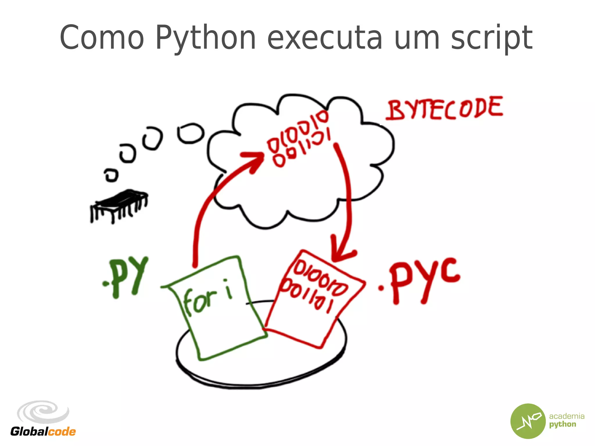 Como Python executa um script
 