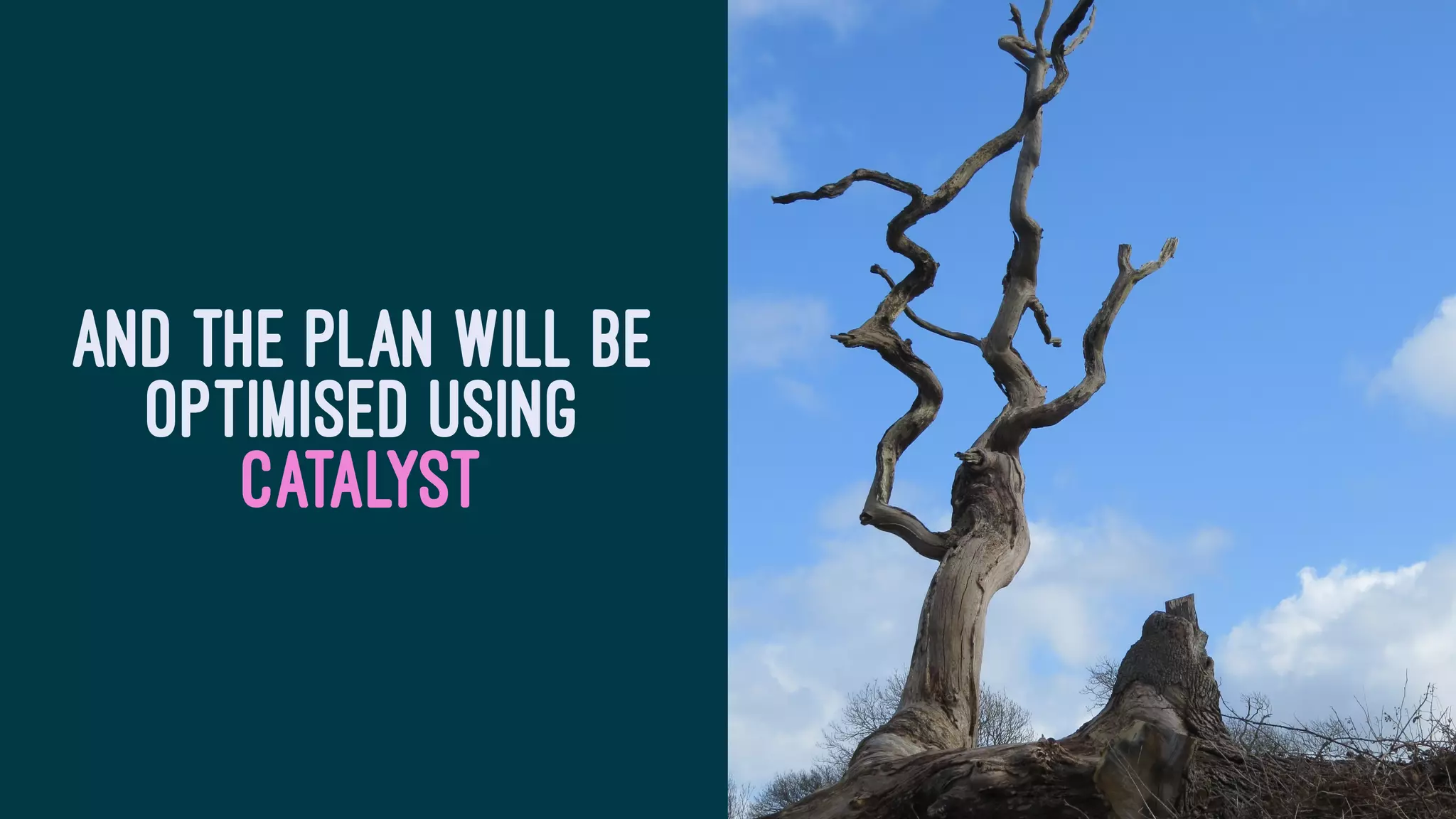 AND THE PLAN WILL BE
OPTIMISED USING
CATALYST
 