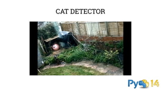 CAT DETECTOR 
 