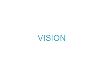 VISION 