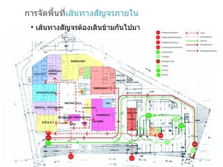 การจัดพื้นที่ เส้นทางสัญจรภายใน เส้นทางสัญจรต้องเดินข้ามกันไปมา 